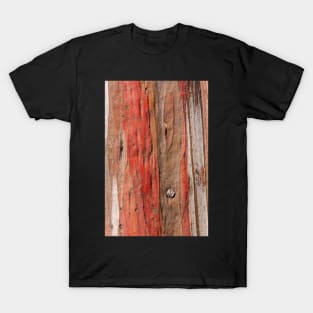 Eucalypt 6 T-Shirt